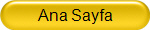 Ana Sayfa